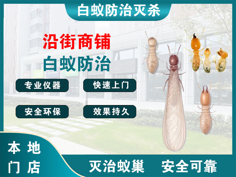 秦淮沿街商铺白蚁防治