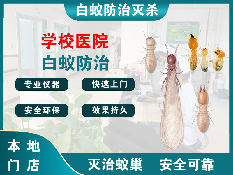 秦淮学校医院白蚁防治