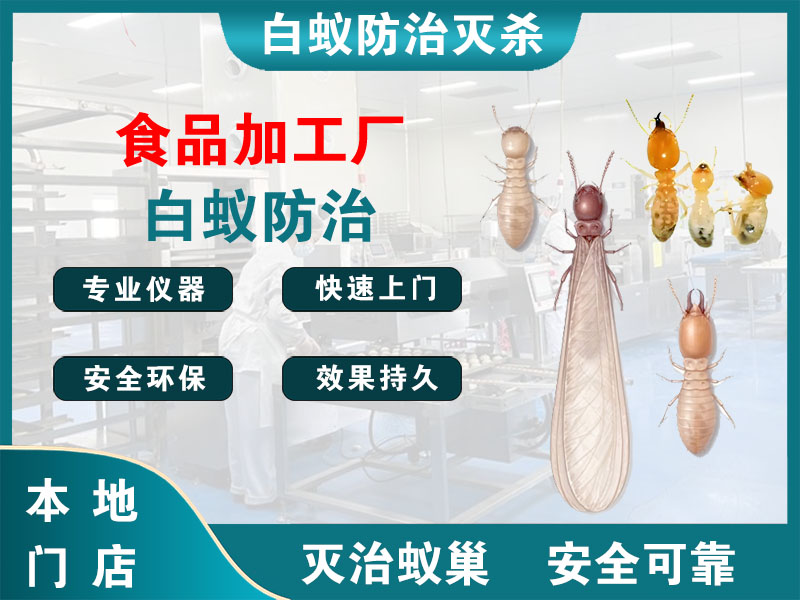 秦淮食品加工厂白蚁防治