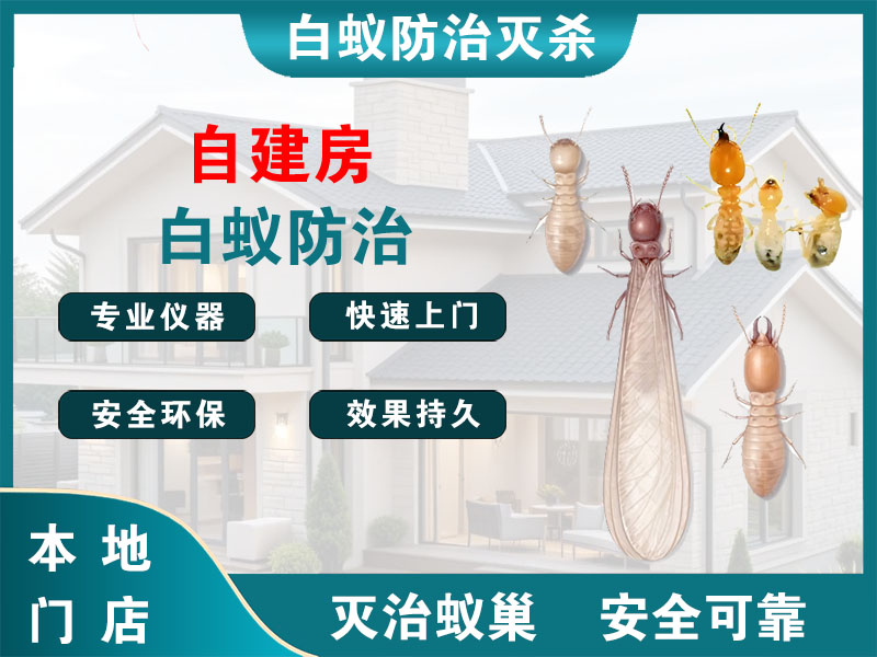秦淮自建房白蚁防治