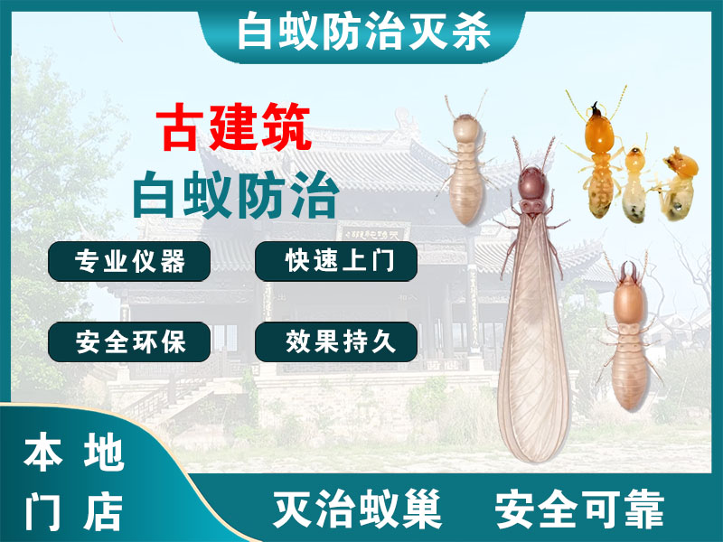 秦淮古建筑白蚁防治