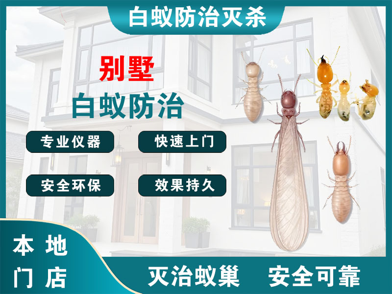 秦淮别墅白蚁防治